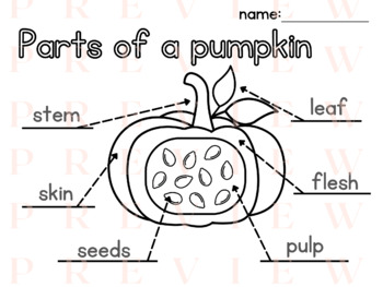 Preview of Pumpkin LABELING | Writing | Phonics | Parts of a | Fall | Harvest | Thematic