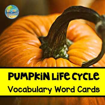 Preview of Pumpkin Life Cycle Vocabulary Word Cards