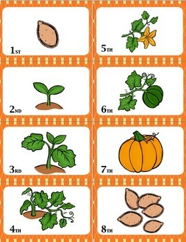 Sequencing with Pumpkin Life Cycle "War" card game center | TpT