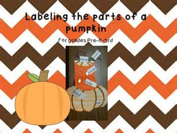 Preview of Pumpkin Labeling