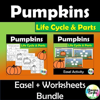 Preview of Pumpkin Labeling | Pumpkin Life Cycle: Easel + Worksheets Bundle {Pumpkins}