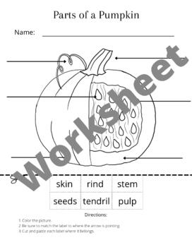 Preview of Pumpkin Labeling Worksheet