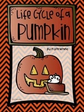 Life Cycle of a Pumpkin Book, Activty, and Assessment