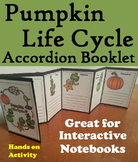 Life Cycle of a Pumpkin Foldable Activity: Seeds, Sprout, 