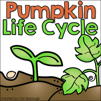 Preview of Pumpkin Life Cycle