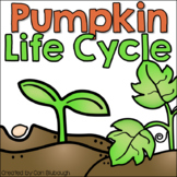 Pumpkin Life Cycle