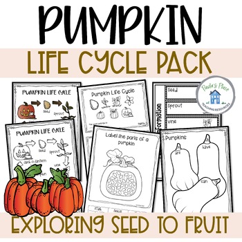 Pumpkin Life Cycle Activities and Worksheets by Paula's Place | TpT