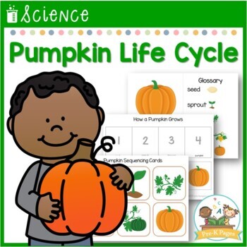 Preview of Pumpkin Life Cycle