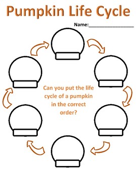 Preview of Pumpkin Life Cycle