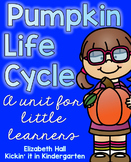 Pumpkin Life Cycle- A Study for Little Learners