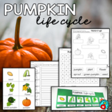 Pumpkin Life Cycle Activities