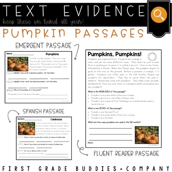 Preview of Pumpkin Reading Comprehension | Pumpkin Lifecycle | Pumpkin Activities