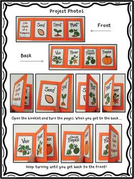 Pumpkin Life Cycle Activity Accordion Fold Mini Book By Lisa Lilienthal