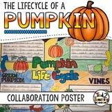 Pumpkin Life Cycle Activity: Collaborative Poster