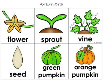 Pumpkin Life Cycle Activity Pack by Kinder Blossoms | TpT