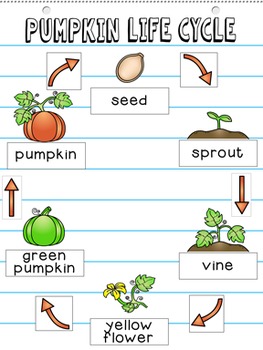 Pumpkin Life Cycle Anchor Chart Kit by Heather Harris | TpT