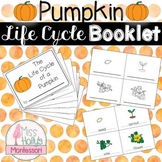 Pumpkin Life Cycle Booklet Fall Activity Montessori Inspired