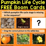 Pumpkin Life Cycle Boom Cards Free Life Cycle of a Pumpkin