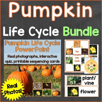 Preview of Pumpkin Life Cycle Bundle (PowerPoint, Cards, Craft, Printables) Real Photos