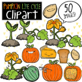 Pumpkin Life Cycle Clip Art