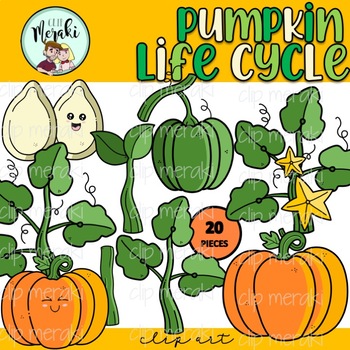 Preview of Pumpkin Life Cycle Clip Art. Ciclo de vida de la calabaza.