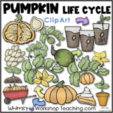 Pumpkin Life Cycle Clip Art  Whimsy Workshop Teaching