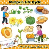 Pumpkin Life Cycle Clip art