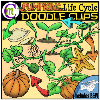 Preview of Pumpkin Life Cycle Clipart