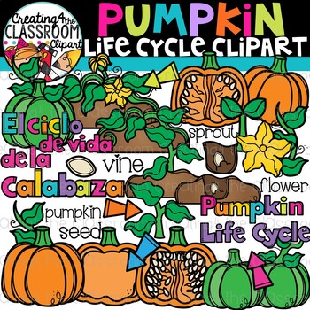 Preview of Pumpkin Life Cycle Clipart {Life Cycles Clipart}