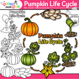 Pumpkin Life Cycle Clipart: Plant Diagram Clip Art, Black 