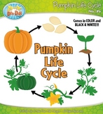 Pumpkin Life Cycle Clipart {Zip-A-Dee-Doo-Dah Designs}