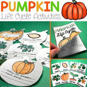 Preview of Pumpkins Life Cycle | Halloween