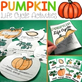 Pumpkins Life Cycle | Halloween
