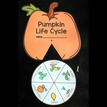 Pumpkin Life Cycle Craft by Stephanie Trapp | Teachers Pay Teachers