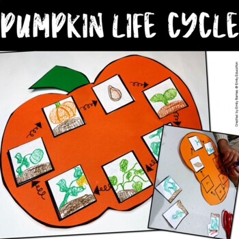 Preview of Pumpkin Life Cycle Craft