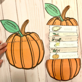 Pumpkin Life Cycle Craft