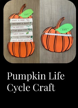Preview of Pumpkin Life Cycle Craft