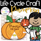 Pumpkin Life Cycle Craft