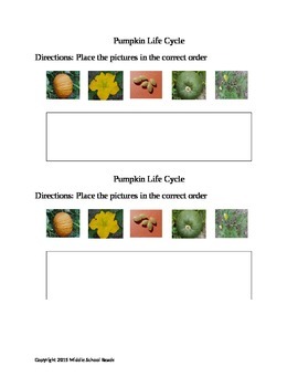 Preview of Pumpkin Life Cycle Cut and Glue