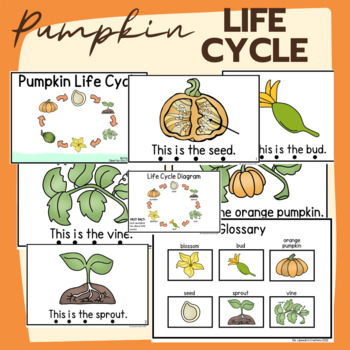 Preview of Pumpkin Life Cycle Emergent Reader Sight Word Book (Digital & Printable)