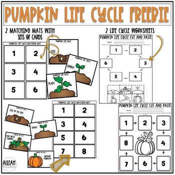Pumpkin Life Cycle Freebie by Alleah Maree | TPT
