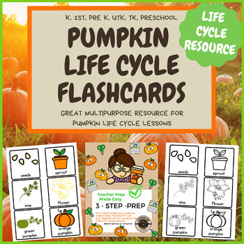Preview of Pumpkin Life Cycle Flashcards for UTK, Preschool, Pre-K, TK, Kindergarten, First