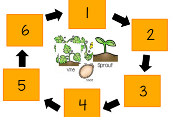 Preview of Pumpkin Life Cycle Flipchart