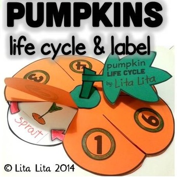 Preview of Pumpkin Life Cycle Fold and Learn