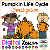 Pumpkin Life Cycle | For Google Slides™ | Distance Learning