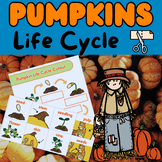 Pumpkin Life Cycle For Kindergarten, The Life Cycle Of A P