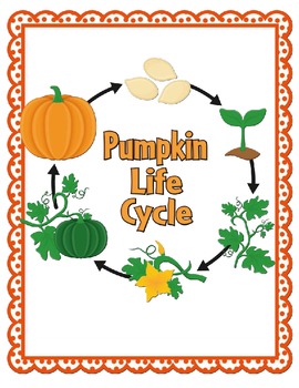 Pumpkin Life Cycle {Informational Writing} by MrsHallettsHappenings