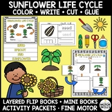Sunflower Life Cycle - Layered Flip Book, Mini Book, Activ