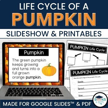 Preview of Pumpkin Life Cycle Lesson Slideshow October Fall + No-prep Printable Worksheets