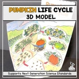 Pumpkin Life Cycle Model - 3D Model - October Science